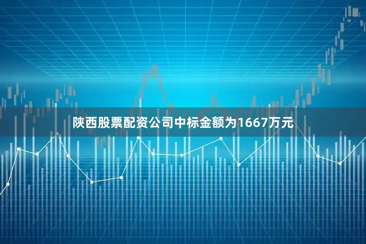 陕西股票配资公司中标金额为1667万元