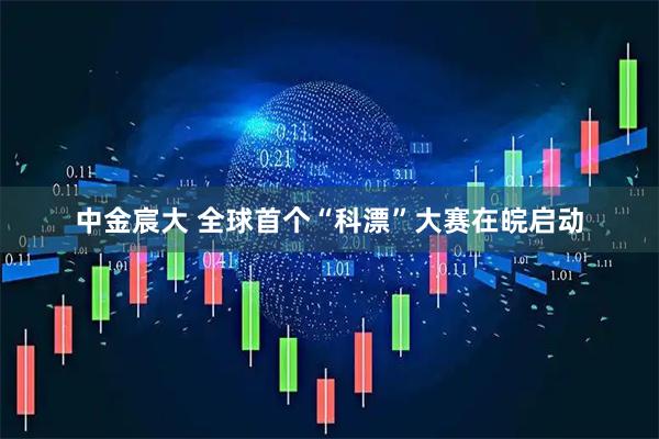 中金宸大 全球首个“科漂”大赛在皖启动